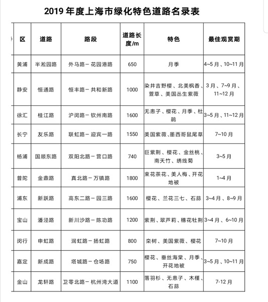 除了樱花,还有紫荆海棠红花檵木!上海多条绿化特色道路已到“最美观赏季”