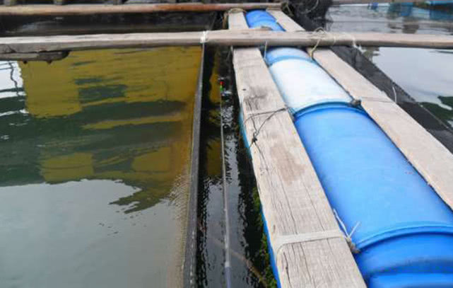 海边一种小不丁点大的泥猛鱼，刺得龇牙咧嘴，腹内有一股特殊的臭