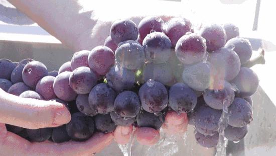 *疆新**有最好的棉花还有惊艳的美食