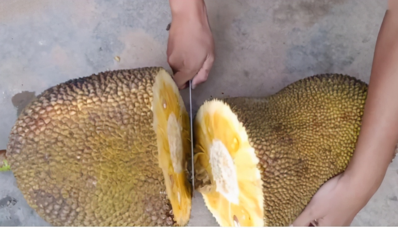 女子网购菠萝蜜,25斤只花60元,本以为会被坑,打开发现赚了