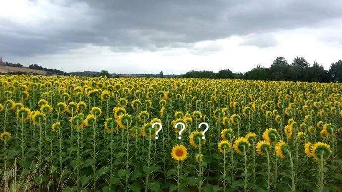 电视剧向往的生活在哪拍的取景地,电视剧向往的生活取景地