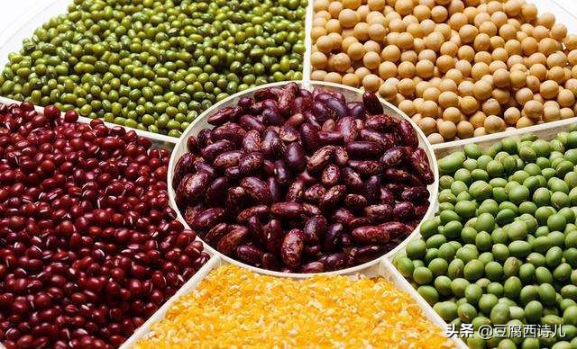 历史趣味小故事高二,历史趣味小故事50字