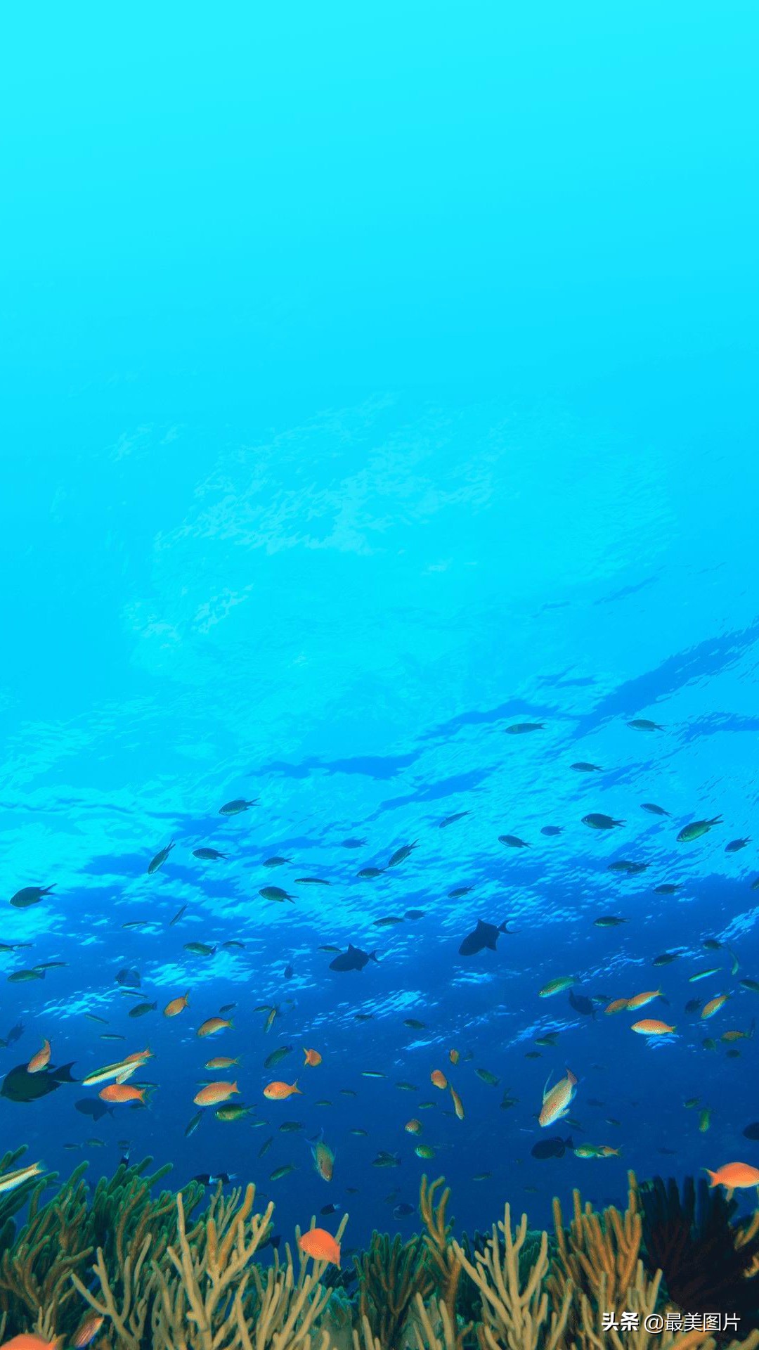 手机商务壁纸高清金属质感,高清手机壁纸简约时尚大全