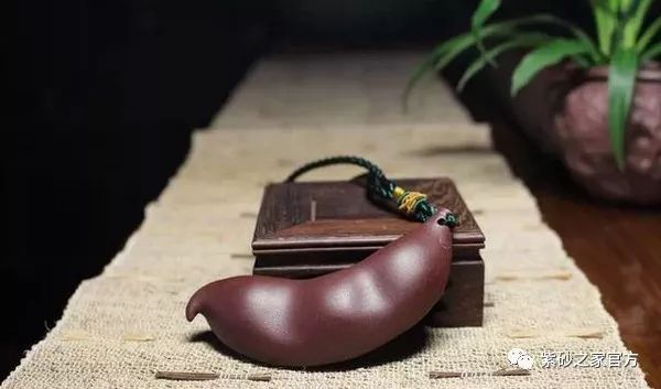 紫砂金蟾茶宠需要开光吗,适合普洱生茶的紫砂茶宠