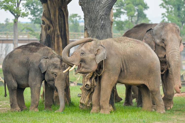 湖州龙之梦主题乐园开放了吗,湖州龙之梦在建项目