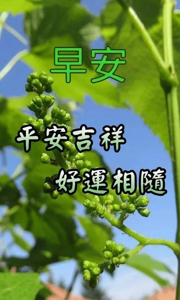 最新漂亮早上好问候表情图片带字,10月27日早上好祝福动态表情图片