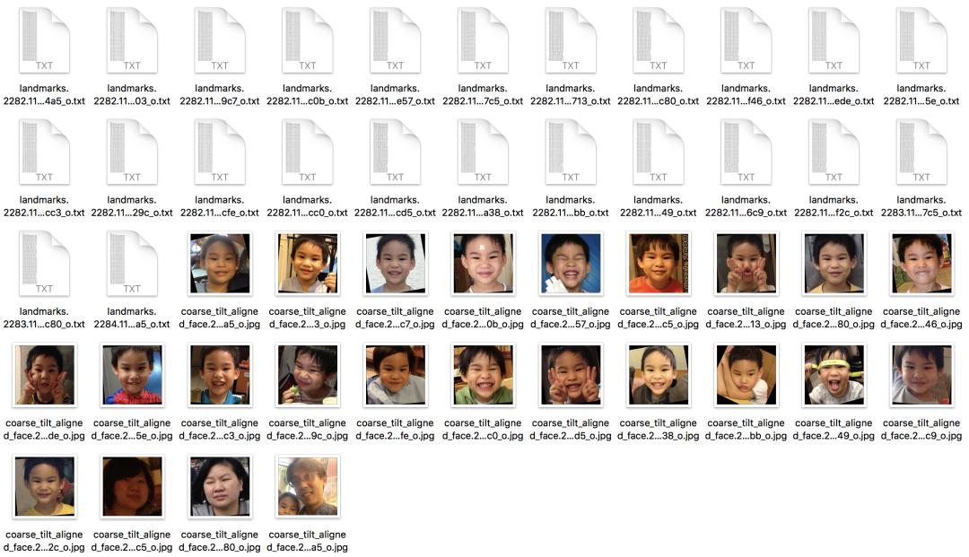 超两万字的最全人脸数据集介绍汇总，从人脸检测到人脸风格化