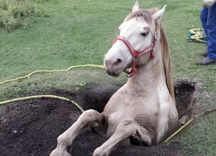 医院和日化公司哪个好,医院和医药公司哪个更强势
