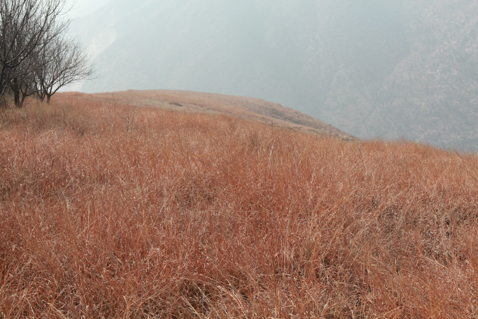 荒山怎么开荒最快最好,开垦荒山最快的方法