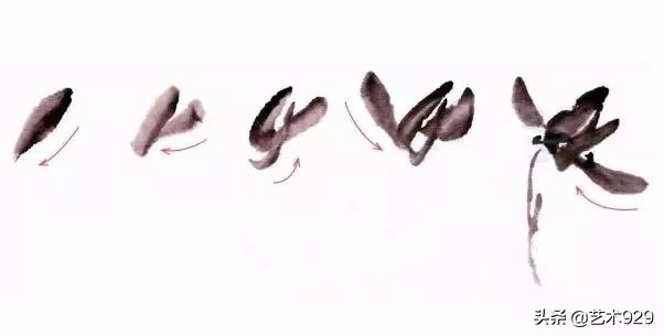 国画兰花的画法太棒了简单易学,泰国兰花绘画技法