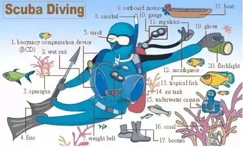 家庭物品英语单词图片大全,所有英语表达五张图全搞定