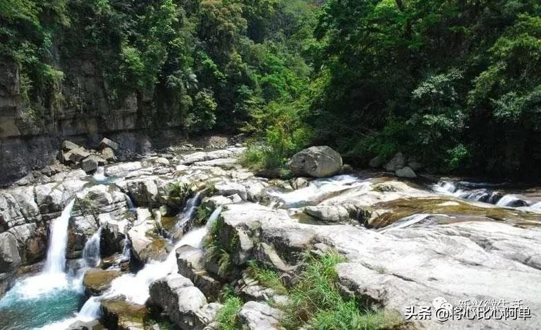 广东省十大战略性新兴产业,广东最具有投资潜力12个县