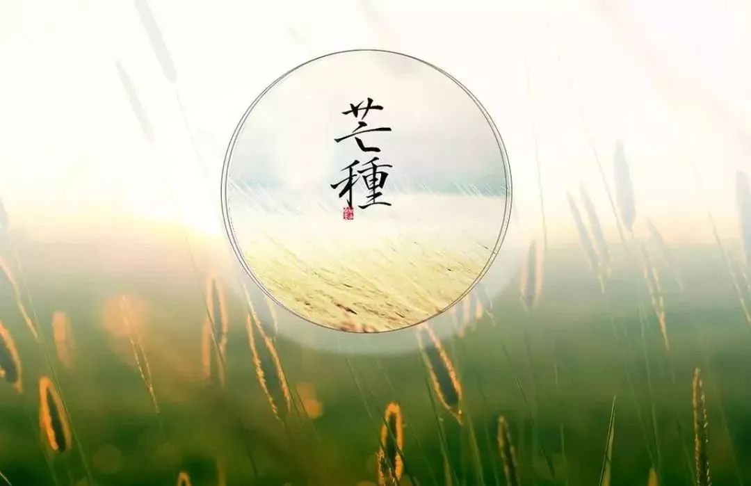 《芒种》：歌曲表达离别之痛的背后，是佛家对“放下执着”的诠释