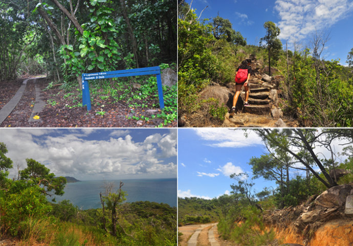 全民热遗|大堡礁上有个翡翠岛,绝美好玩,还是海龟康复中心