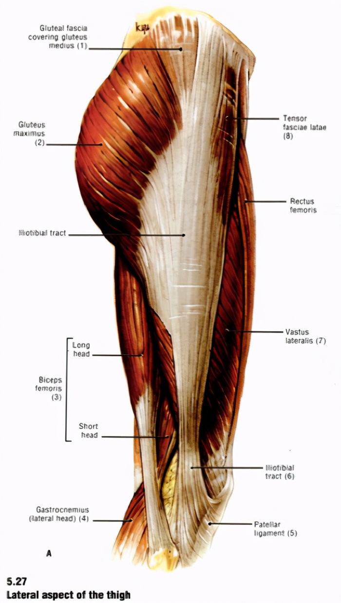 动作学院课程,动作学院体能培训