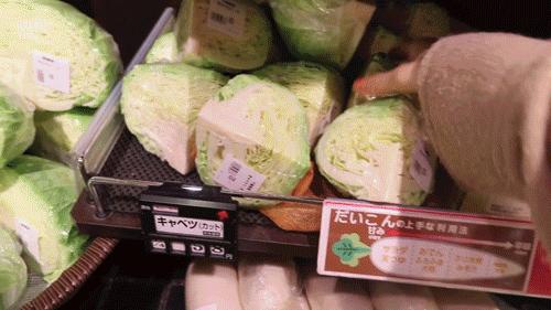 38岁独居全职博主,韩国独居博主