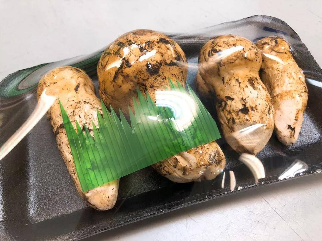 松茸菌干货的吃法,新鲜松茸菌怎么做好吃一点