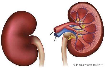 关节型过敏性紫癜后果严重吗,过敏性紫癜严重时会有什么后果