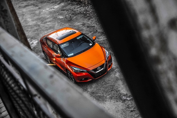 你好日产轩逸车主,日产轩逸日产蓝鸟