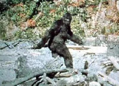 盘点大脚怪最神秘的动物,北美大脚怪真实视频