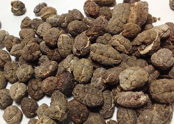 砂仁既能化湿行气又能温中止呕,本草砂仁