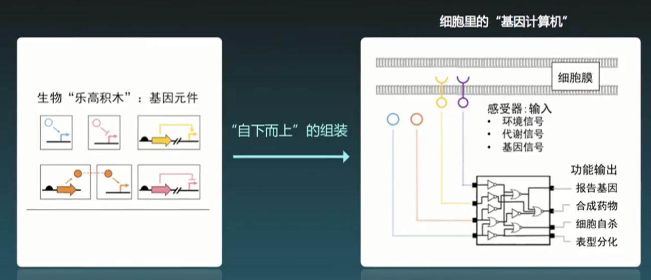 生物可降解塑料前景,生物可降解塑料是什么原料