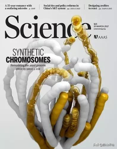 股海图志深度解析,股海图志写真集