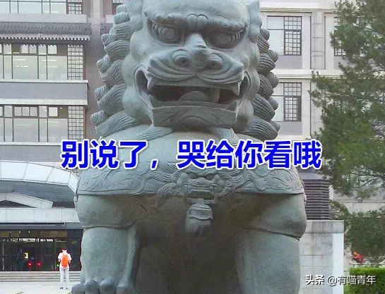 北大石狮子绝育事件,北大石狮子修复了吗