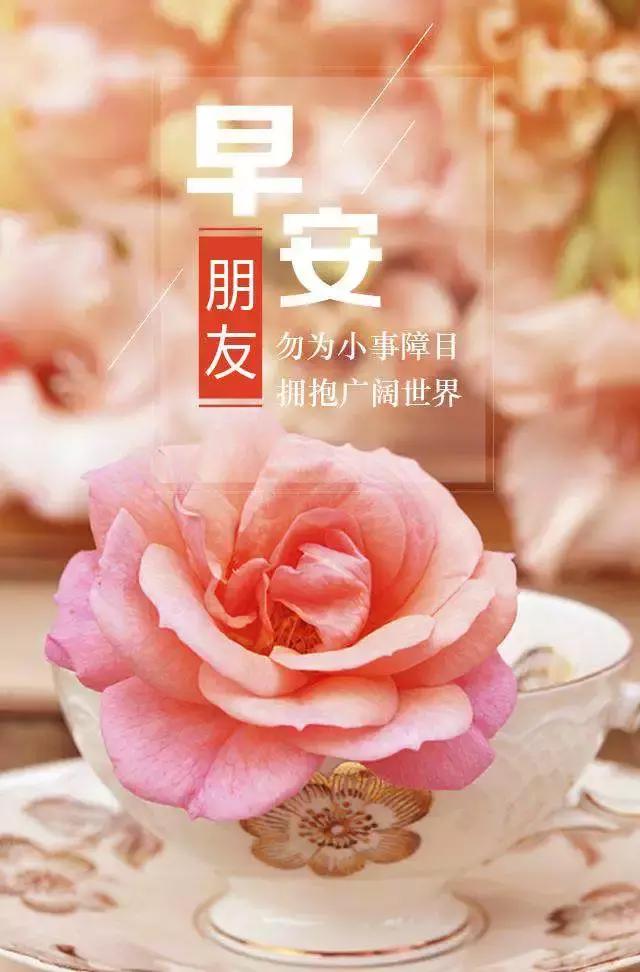 早安人生最美丽的句子简短,人生最美的是那回眸一笑的洒脱