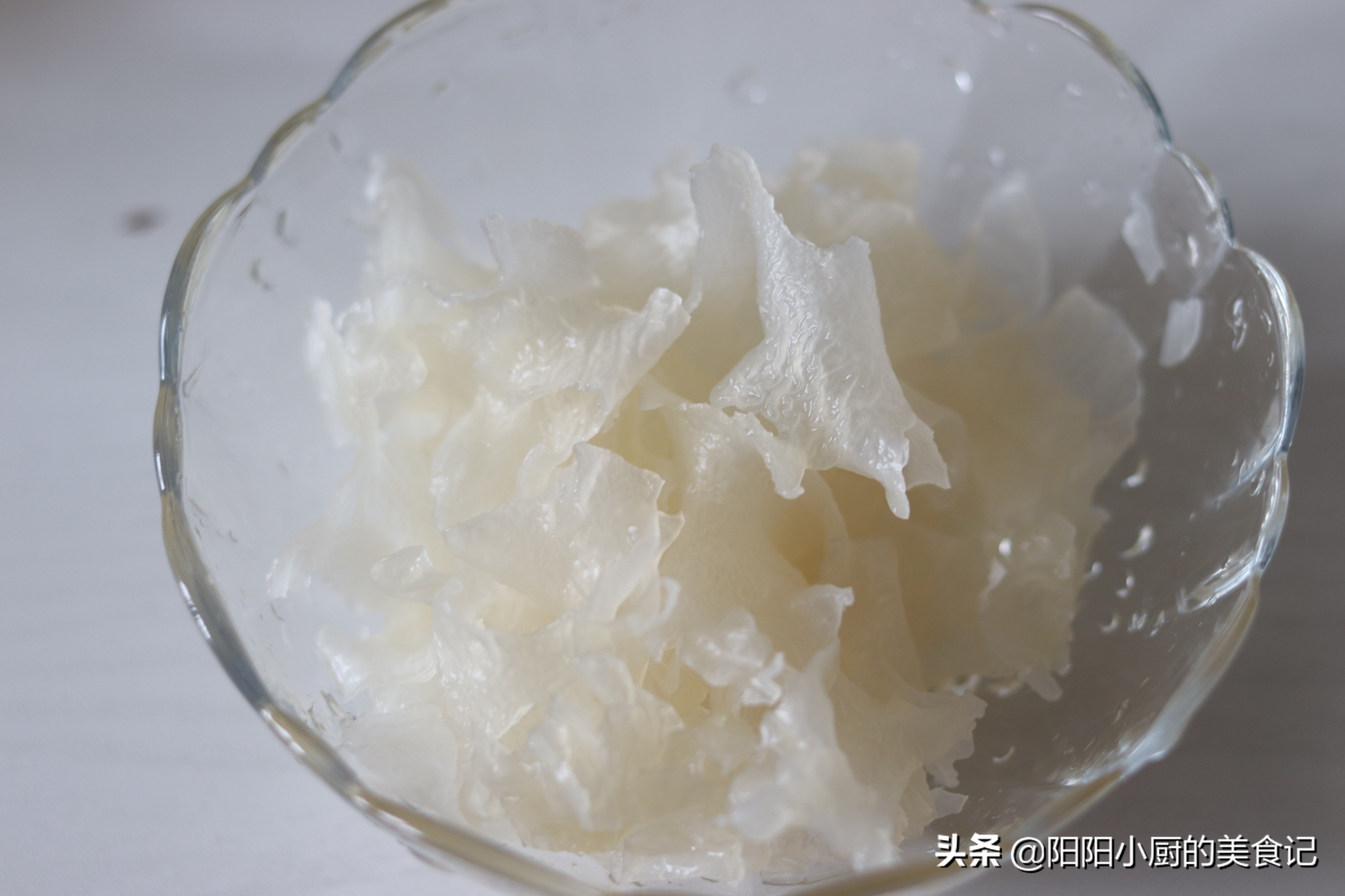 雪燕燕窝提取,雪燕是燕窝的平价代替品