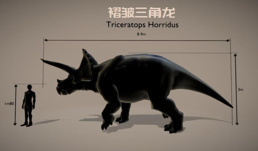 6600万年前大恐龙骨架拍卖，龙角超过1米，生前是霸王龙的食物