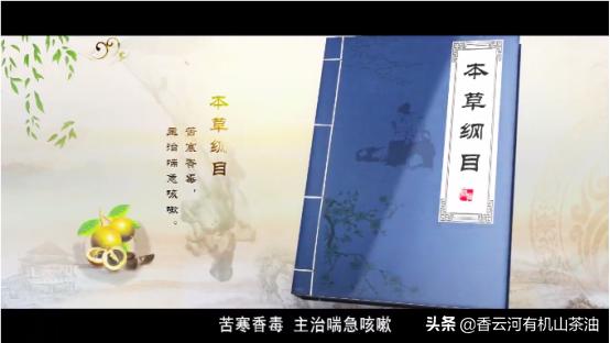 吃茶油，是一种信仰