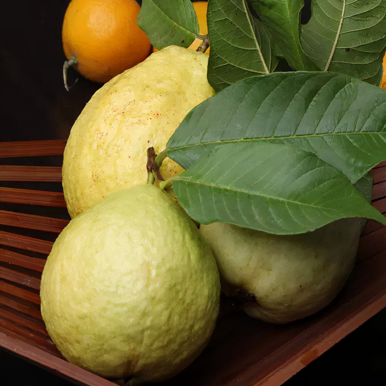 缅桃的学名是什么,老缅桃的功能与作用