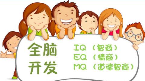 全脑开发上中下,引领全脑开发