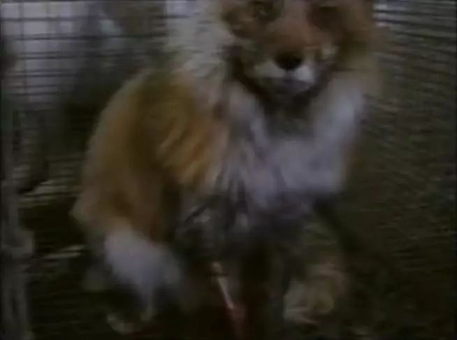 豆瓣9.1这部剧全程高能,豆瓣9.2分最好看的悬疑剧