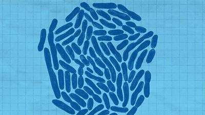 念珠菌怎么预防,如何防治念珠菌