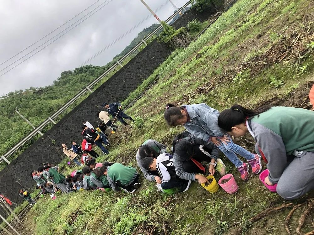 临安最好的小学是哪个,临安小学入学要求
