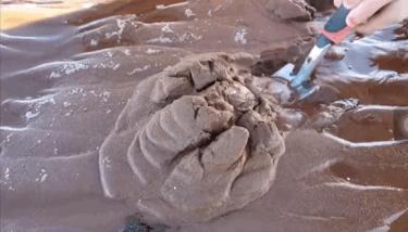 海上直播赶海视频,山东海阳赶海直播