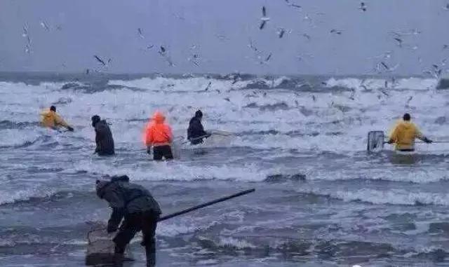 老蜜蜡与新蜜蜡区别是什么,老蜜蜡和新蜜蜡的区别有什么