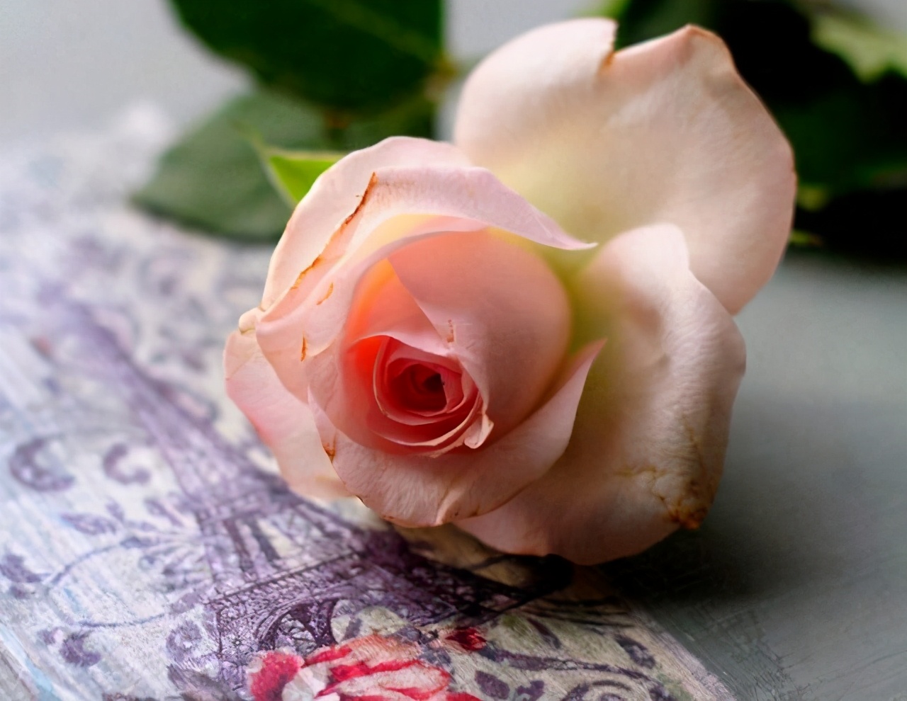 真正值得嫁的女人,真正值得你嫁的人