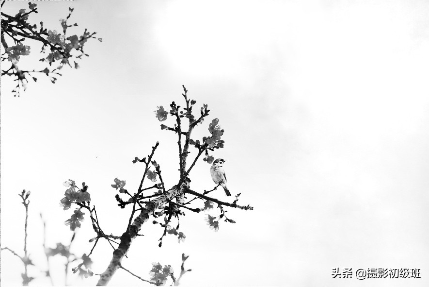 如何把照片p成水墨风格,中国水墨风格摄影