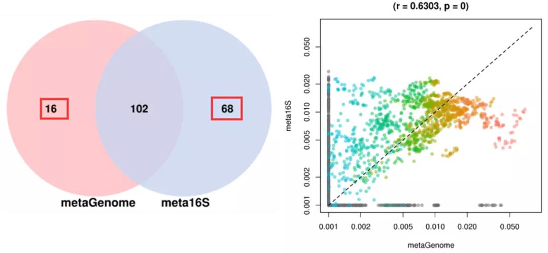 宏基因组学和16s,宏基因组与16s数据分析一样吗