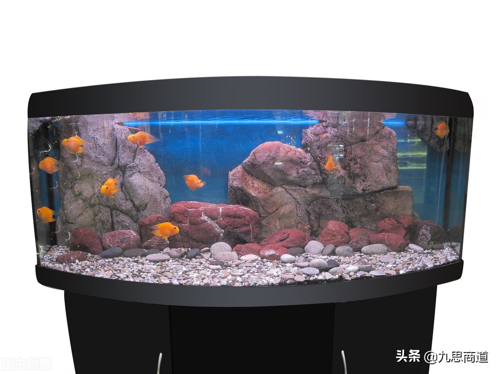 鱼缸清洗上门服务怎么推广,成都鱼缸上门清洗