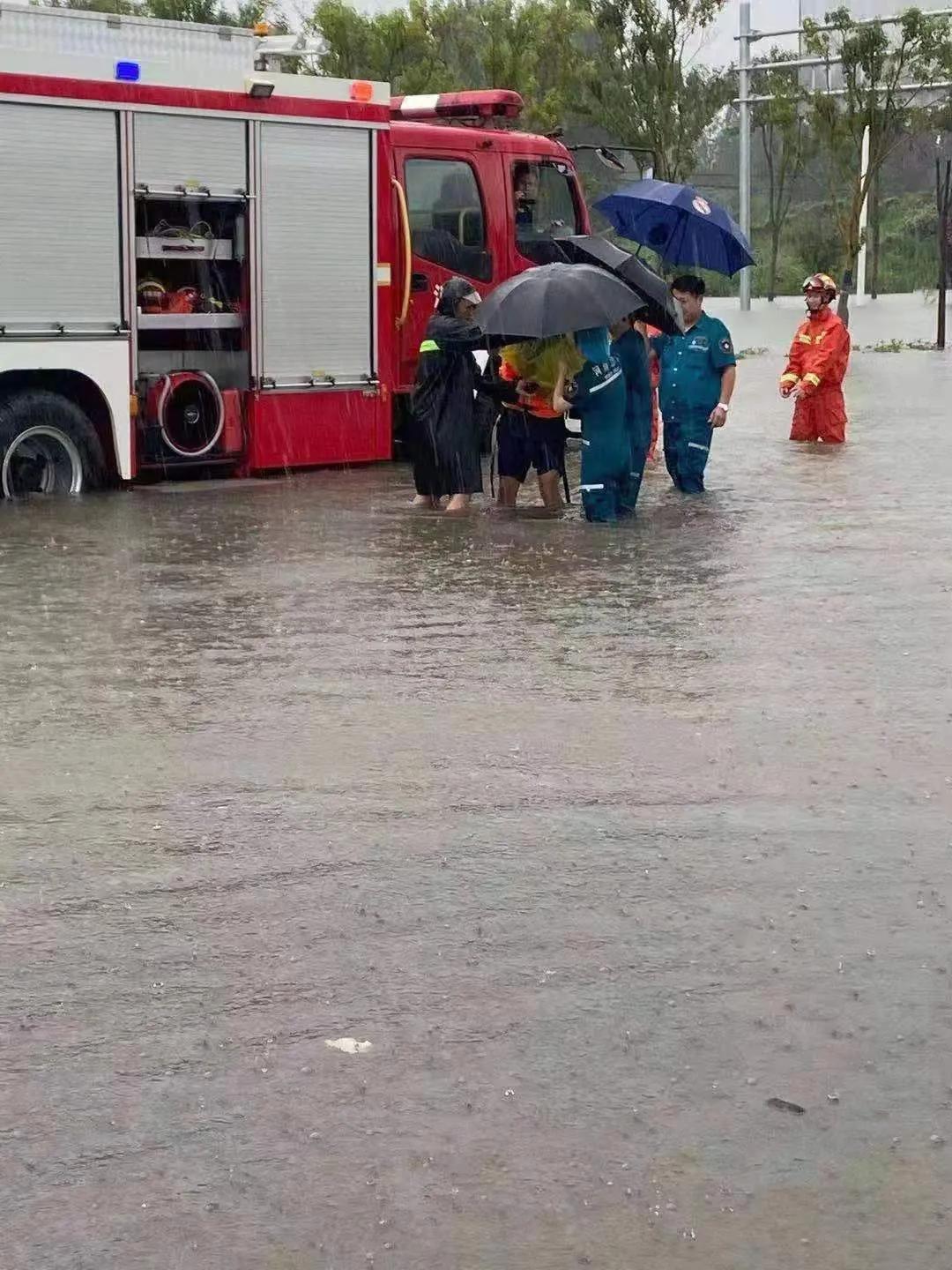 这才是真正的河南人,没想到你是这样的人英语