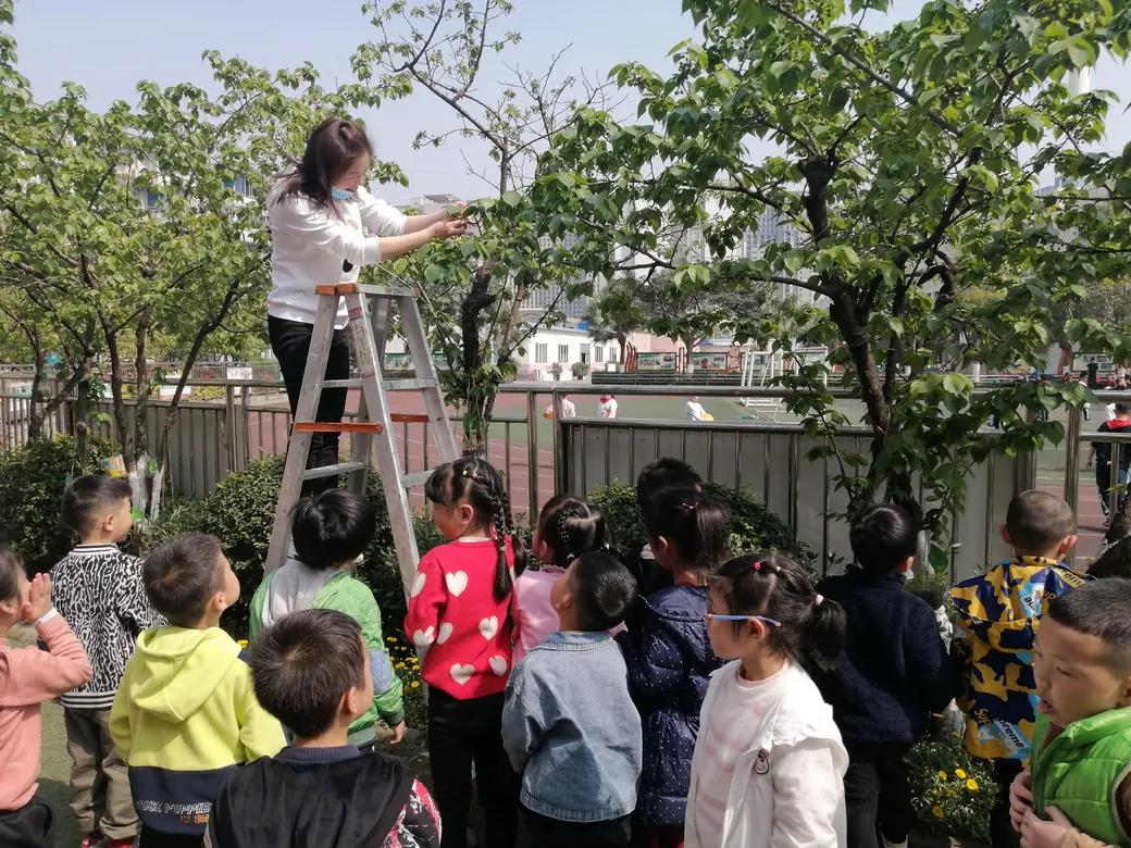 成都市双流区胜利幼儿园主题活动,天府新区幼儿园活动