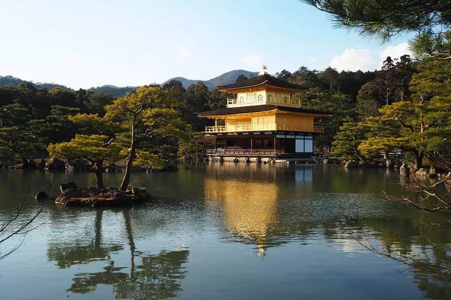 为了一群鹿而去一座城!日本奈良如何从“穷乡下”逆袭...