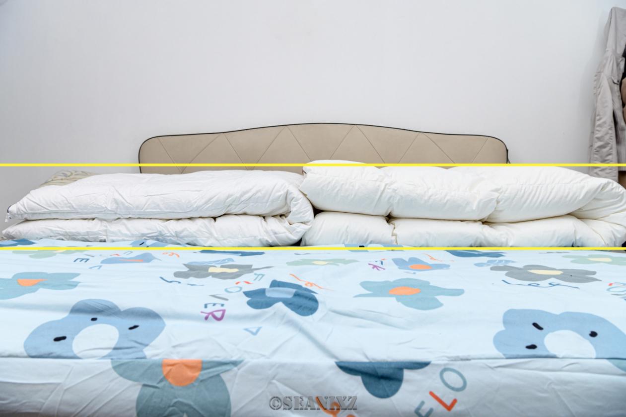 鹅绒羽绒被十大排名,高品质白鹅绒羽绒被推荐