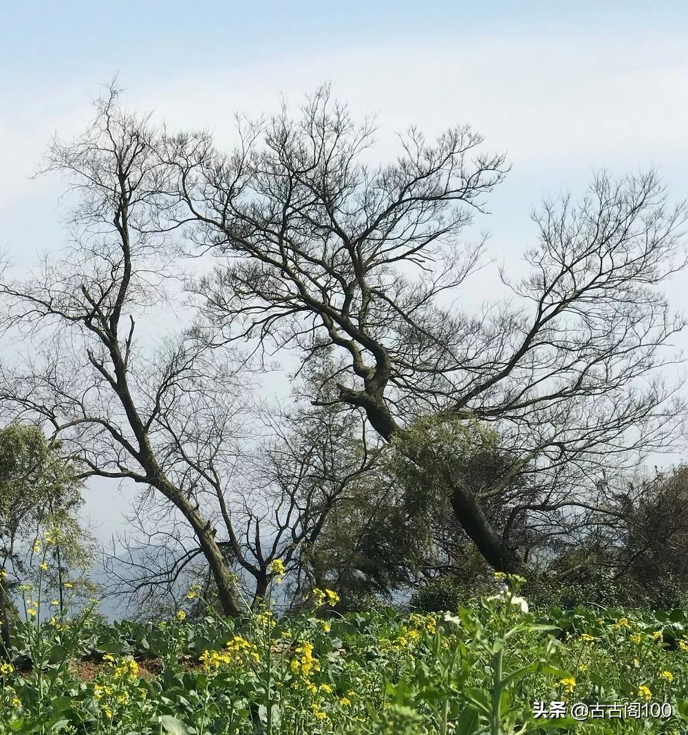 越王峥大峡谷：风景壮美，迷倒众生