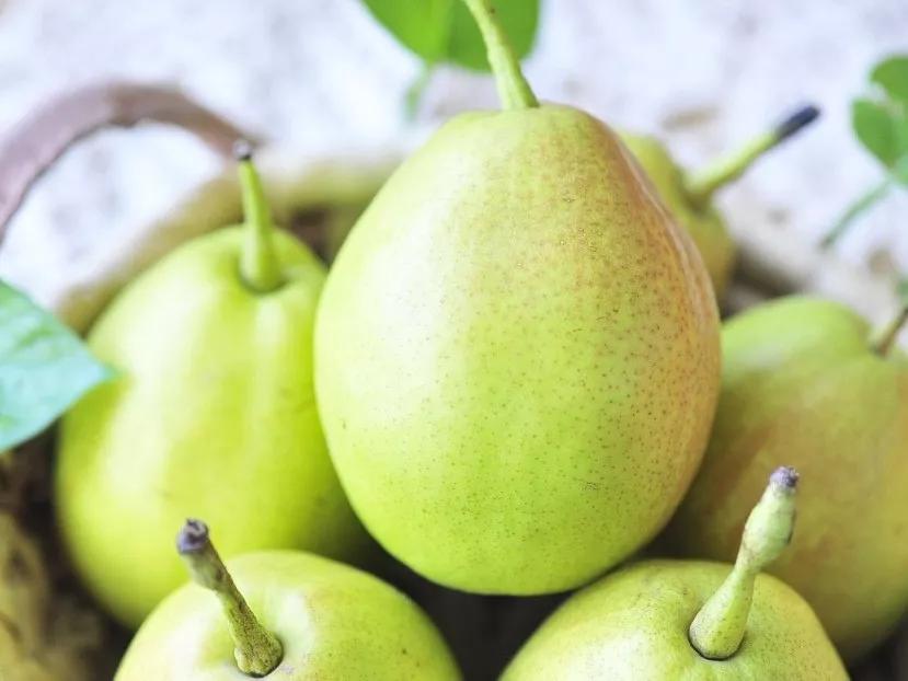 冬天气候干燥喝点什么缓解,雾霾天必备生津润燥的雪梨汤