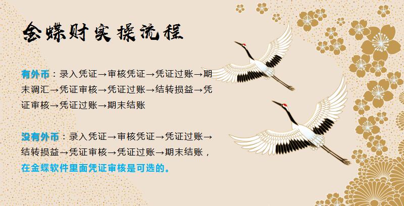 金蝶专业版财务软件做账流程视频,会计金蝶软件怎么操作